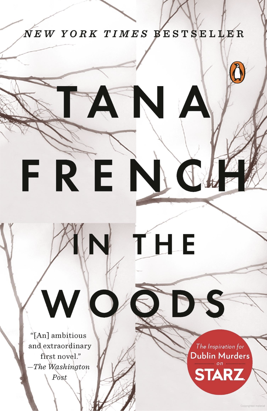 Tana French: In the Woods (EBook, 2007, Viking Penguin)