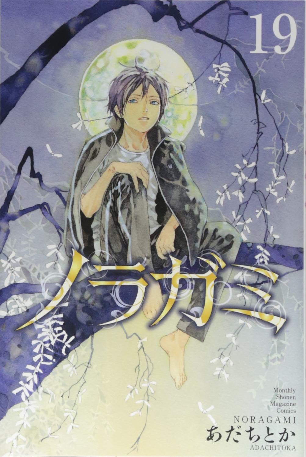 あだちとか: ノラガミ(19) (Paperback, Japanese language, 講談社)