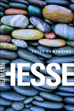 Peter Camenzind (Paperback, Picador)