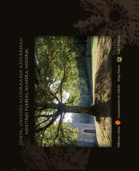 Iñigo Ibarra Alonso, Iñaki Vergara: Odieta, izkutuko altxorraren aztarrikan (Hardcover, Euskara language, Denonartean)