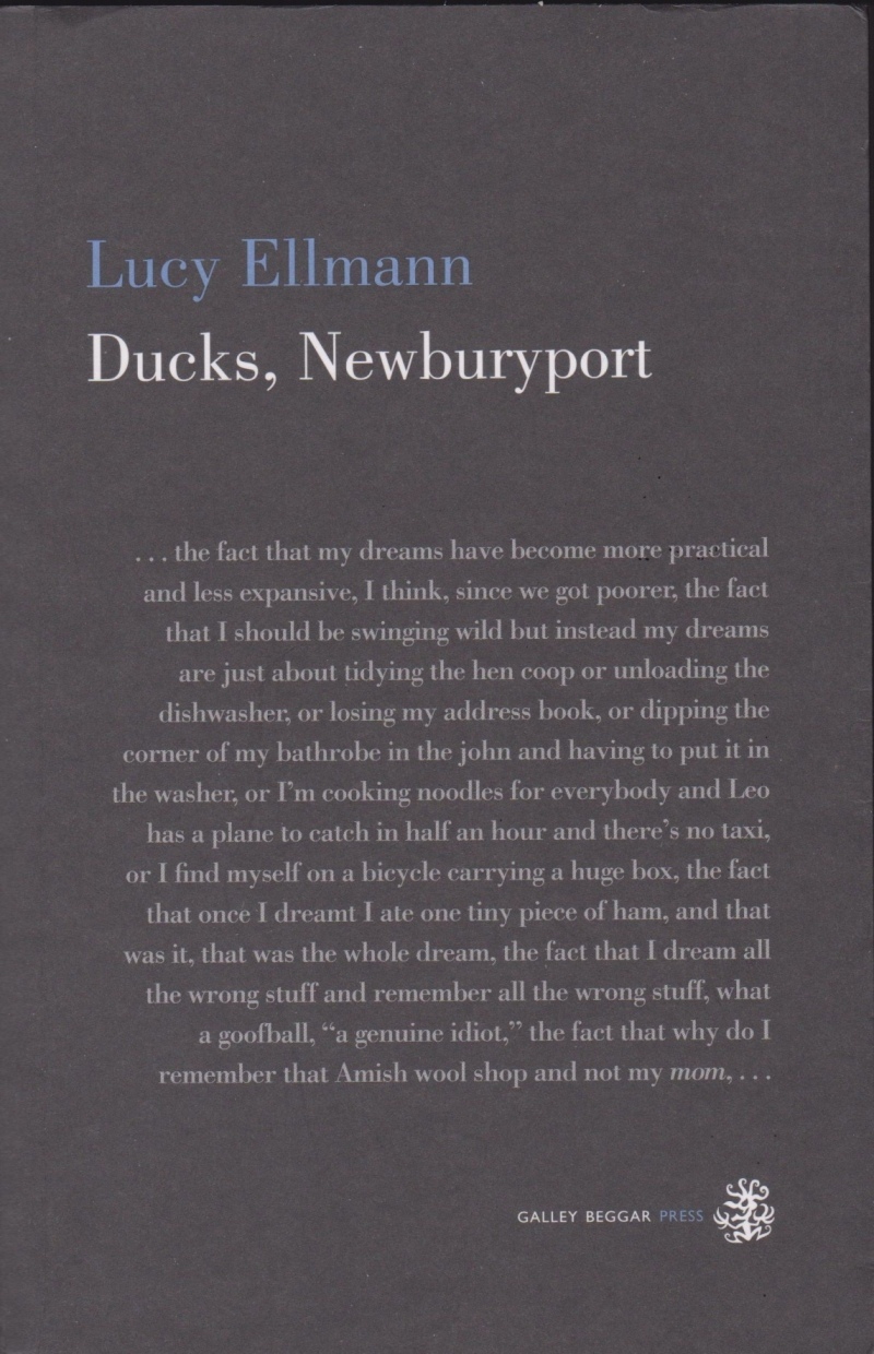 Lucy Ellmann: Ducks, Newburyport (2019, Galley Beggar Press)