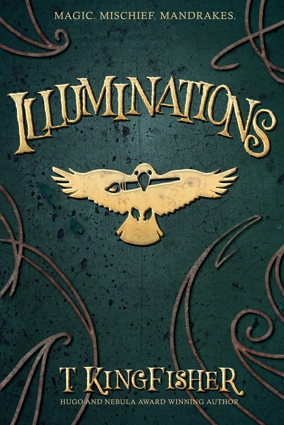 T. Kingfisher: Illuminations (Paperback, 2022, Argyll Productions)