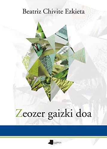 Beatriz Chivite Ezkieta: Zeozer gaizki doa (Paperback, Euskara language, 2022, Pamiela argitaletxea)