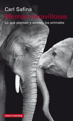 Carl Safina: Mentes maravillosas (2017, Galaxia Gutenberg)