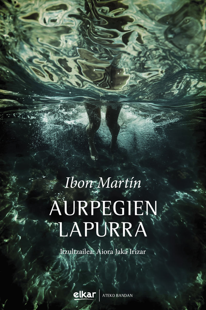 Ibon Martin Alvarez: Aurpegien lapurra (Euskara language, Elkar)