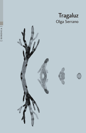 Olga Serrano: Tragaluz (Paperback, Español language, Xordica)