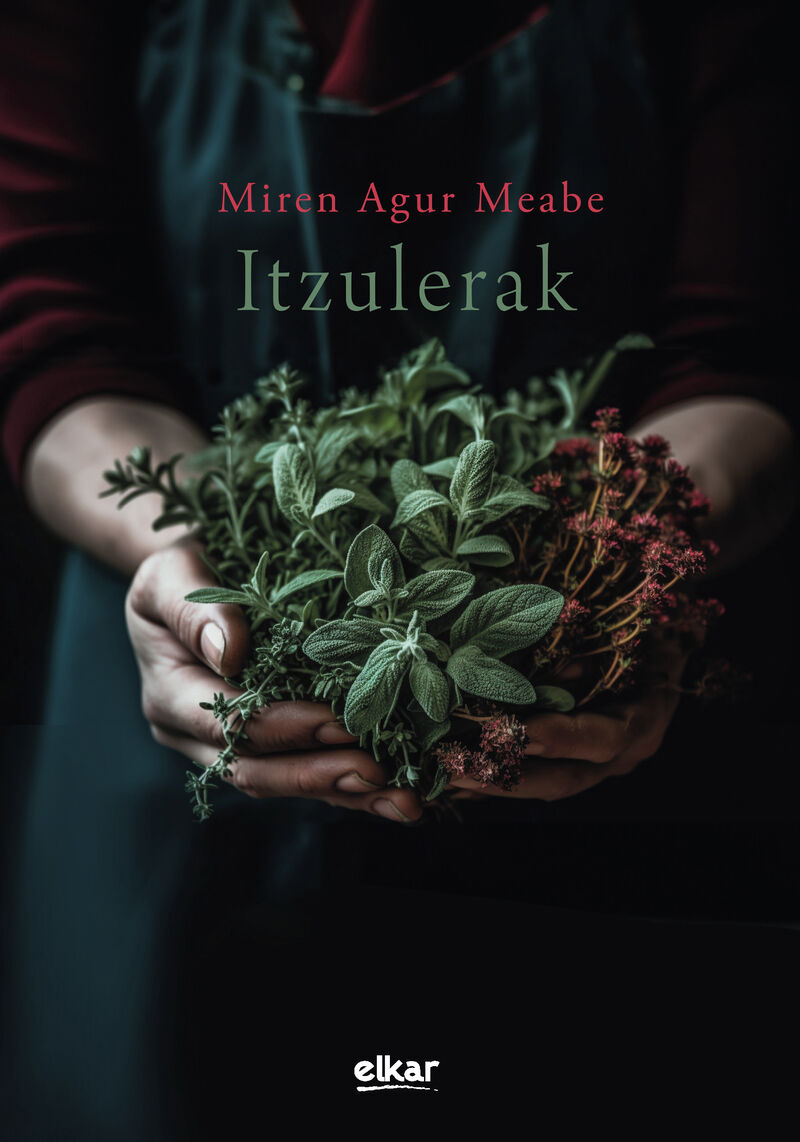 Miren Agur Meabe: Itzulerak (Paperback, Euskara language, 2023, Elkar)