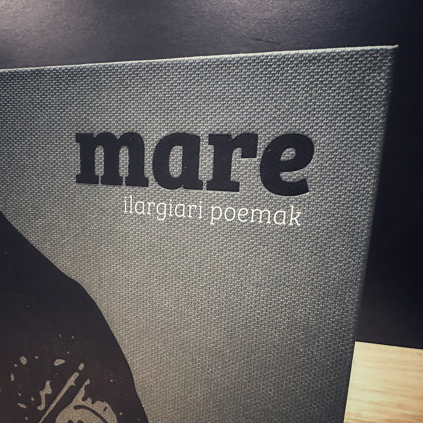 Xabi Salaberria Gonzalez: mare ilargiari poemak (Hardcover, Euskara language, 1545 argitaletxea)