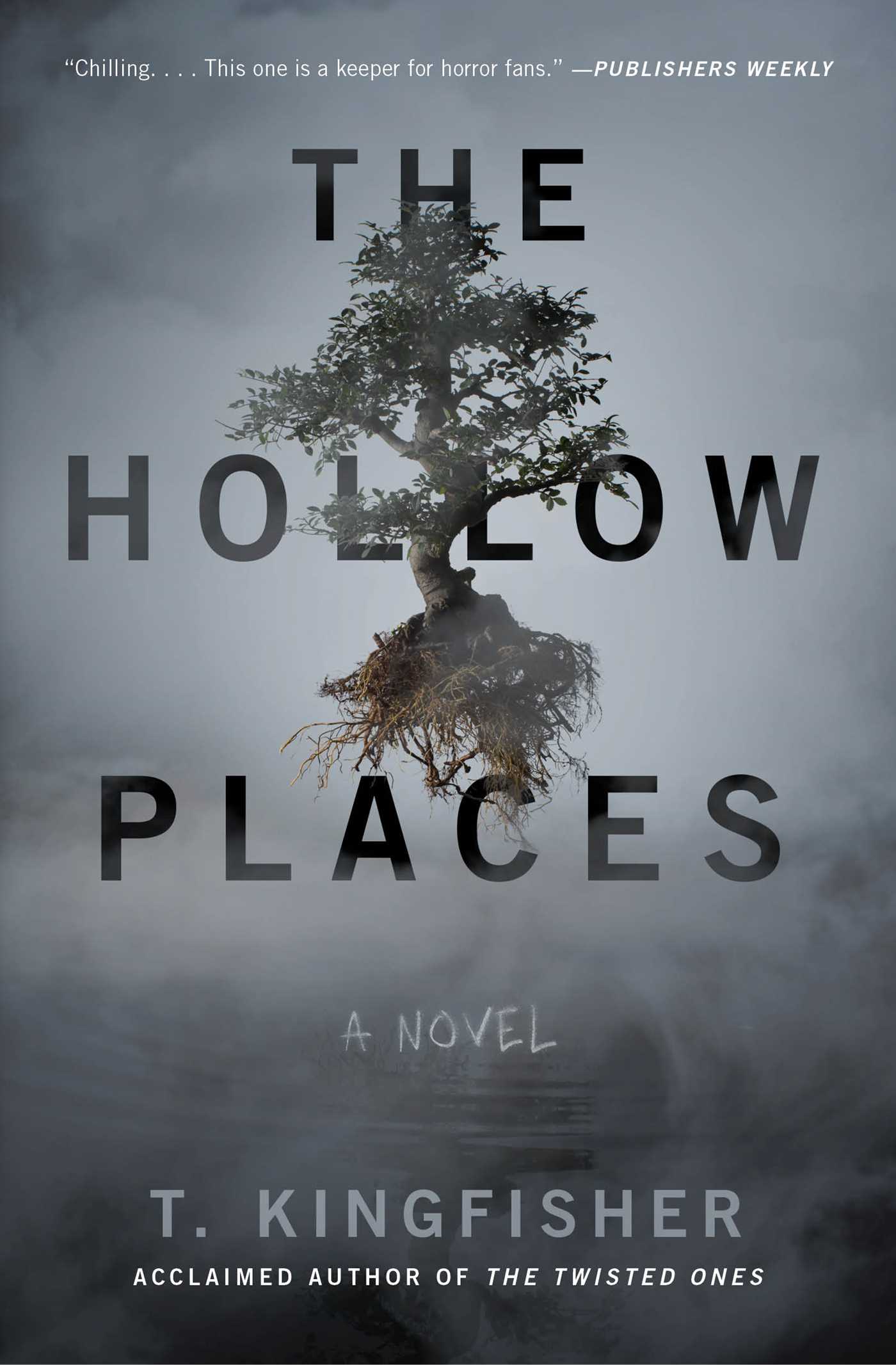 T. Kingfisher: The Hollow Places (Paperback, 2020, Gallery Books)