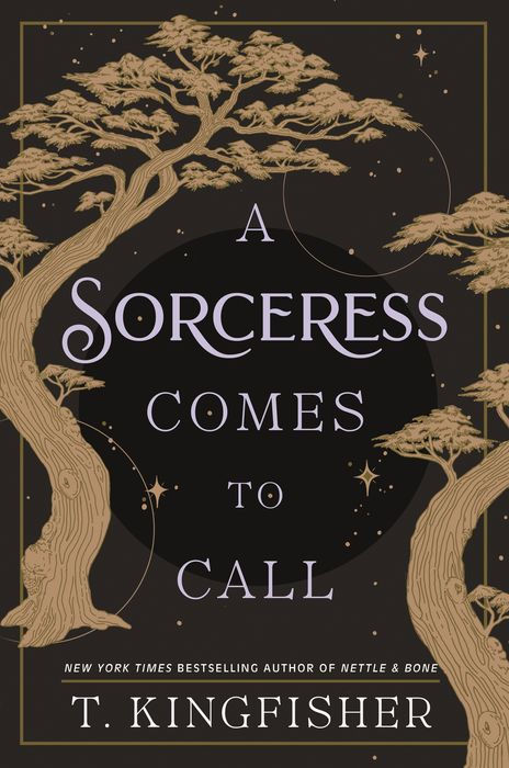 T. Kingfisher: A Sorceress Comes to Call (EBook, 2024, Tor Books)
