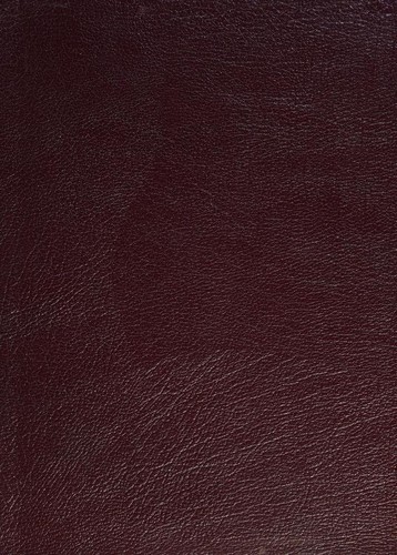 Bible: New Interpreters Study Bible (Hardcover, 2003, Abingdon Press)