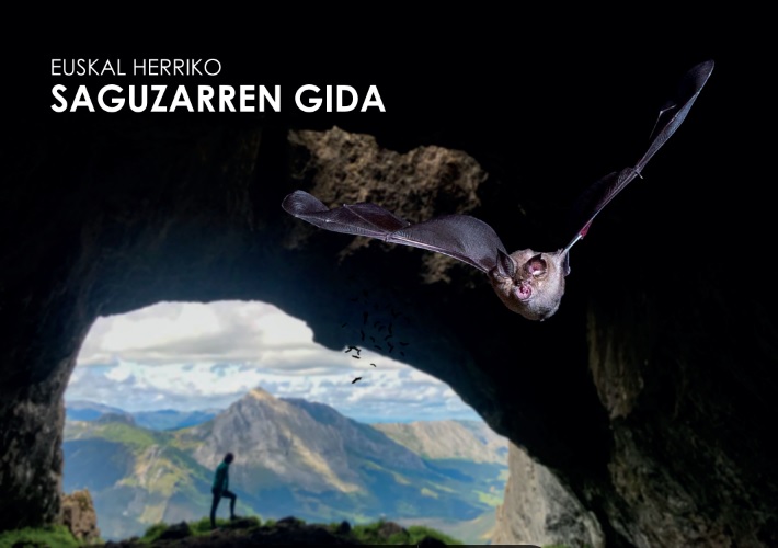 Naturtzaindia: Euskal Herriko saguzarren gida (Paperback, Euskara language, Naturtzaindia)