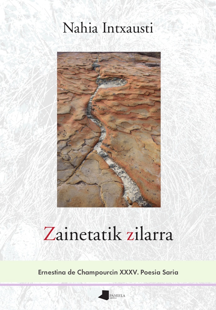 Nahia Intxausti: Zainetatik zilarra (Paperback, Euskara language, Pamiela)